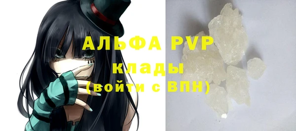 сатива Абинск