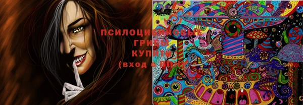 сатива Абинск