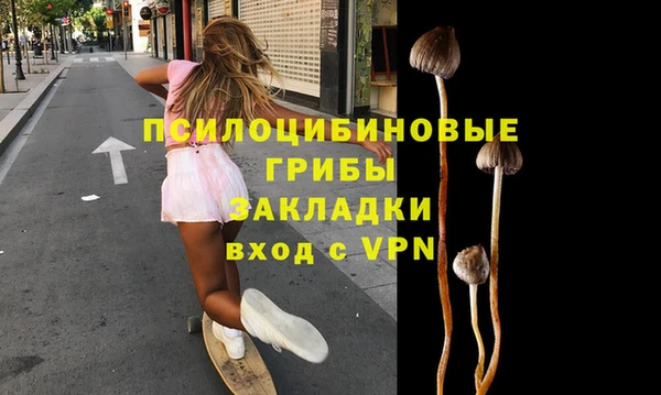 сатива Абинск