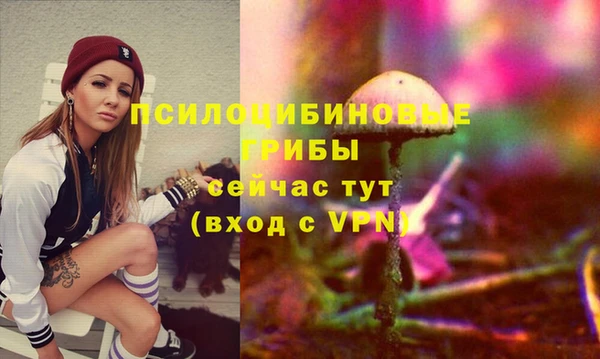сатива Абинск